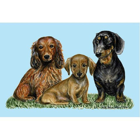 Betsy Drake DM074 Pets Dachshunds Door Mat, 18" x 26"