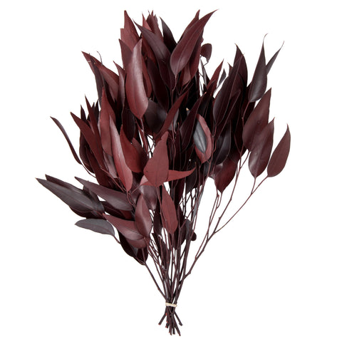 Vickerman 18" Red Weeping Willow Eucalyptus - 5-6 oz Per Pack - Red Preserved Foliage Floral Decor - Burgundy Fall Decor - Natural Botanicals - Weeping Willow