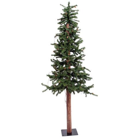 Vickerman 6' Alpine Artificial Christmas Tree, Unlit - Faux Christmas Tree - Seasonal Indoor Home Decor - Tree with Cones - Faux Small Tree - Maintenance Free