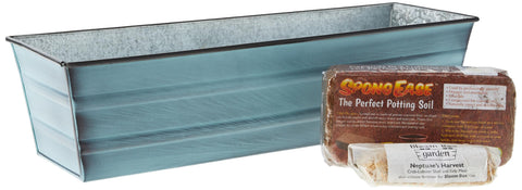 Bloom Box Garden Growing Kit Small Nantucket Blue