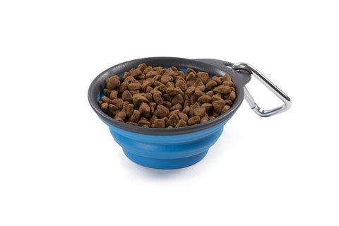 Dexas Pets Collapsible Travel Cup, Small/1 Cup Capacity, Pro Blue
