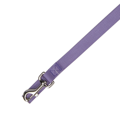 Zack & Zoey Basic Nylon Dog Leash, 4-Feet x 5/8-Inch Lead, Ultra Violet