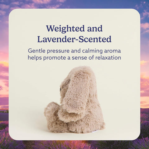 warmies Junior Microwavable & Weighted Stuffed Animals, Brown Bunny - Heated Stuffed Animal Plushie for Warmth & Comfort - Cute Soft Plush Toys for Adults & Children (Boys, Girls, Babies & Toddlers)