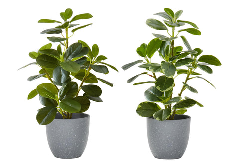 Monarch Specialties I 9558 Artificial Plant, 14" Tall, Ficus, Set of 2, Decorative, Green Leaves, Grey Pots