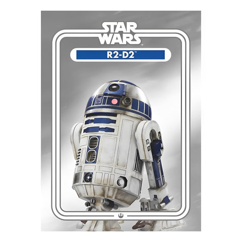 Star Wars R2-D2 2.5 x 3.5 Inch Flat Magnet
