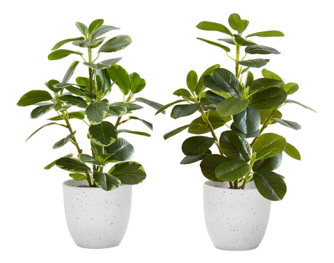 Monarch Specialties I 9557 Artificial Plant, 14" Tall, Ficus, Set of 2, Decorative, Green Leaves, White Pots