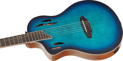 RTPDLX-FMA-L | Nylon String Guitar | TourPlayer Series