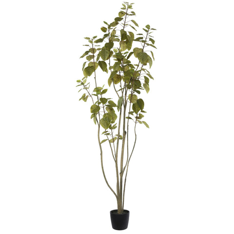 Vickerman Everyday 60" Artificial Green Potted Cotinus Coggygria Tree with 240 Leaves - Lifelike Home Or Office Decor - Premium Faux Potted Tree - Maintenance Free