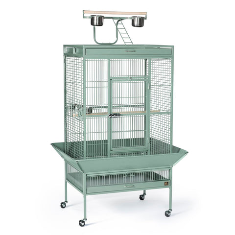 Prevue Hendryx Pet Products Wrought Iron Select Bird Cage 3153SAGE, Sage Green, 30-Inch by 22-Inch by 63-Inch