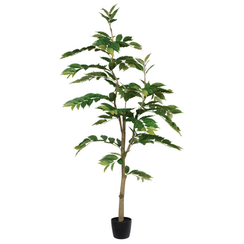 Vickerman 6' Realistic Potted Artificial Green Nandina Tree with 284 Leaves - Large Faux Indoor Tree for Artificial Plants and Fake Plants - Maintenance Free