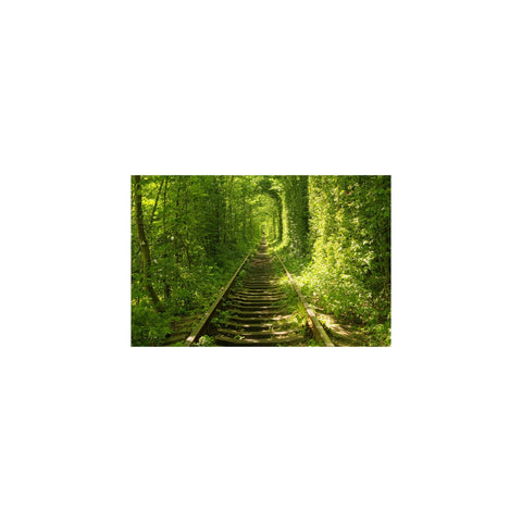 Yosemite Home Decor "Tunnel Of Love Glass/Wood Photographic Art in Green