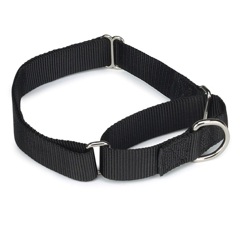 Guardian Gear Nylon Martingale Dog Collar, Fits Necks 18" to 26", Black