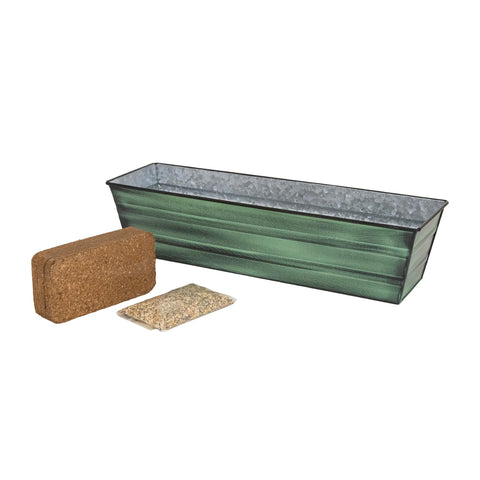 Bloom Box Garden Growing Kit Small Green