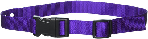 Grain Valley 1 Replacement Strap, Color: Purple. Sold Per Each. Fits Most PetSafe Bark Collars and Many Containment Collars. (No-Bark Collars / Accessories)