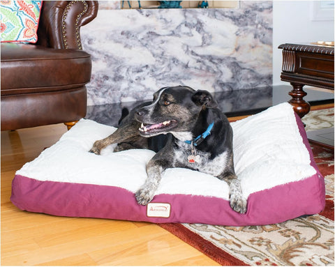 Armarkat Pet Bed Mat 39-Inch by 28-Inch by 7-Inch, M02HJH/MB-Large, Ivory