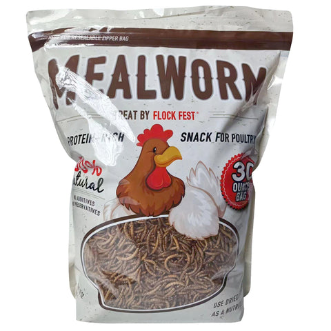 Buffalo Tools Flock Fest Dried Mealworms for Chickens, Wild Birds, Ducks, and Small Pets, 30 oz Bag - 3Pk