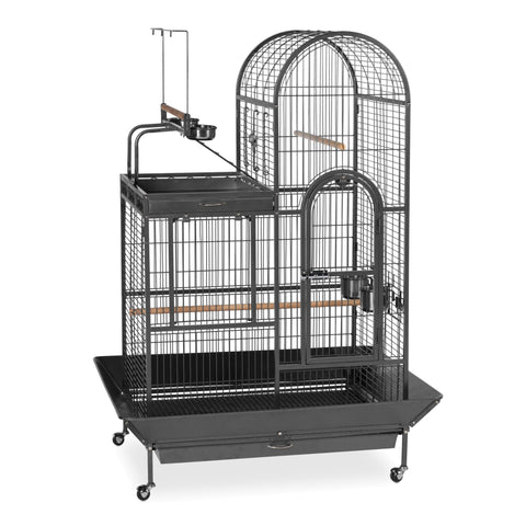 Prevue Pet Products Double Roof Steel Bird Cage with Playtop, 36.5 x 27.25 Inch with 7/8 inch Wire Spacing for Medium to Large Birds and Small Parrots in Black Hammertone Finish