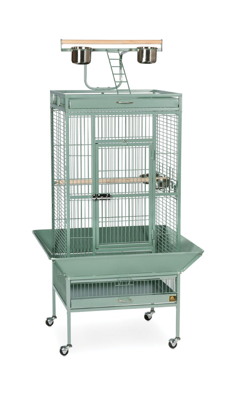 Prevue Pet Products Wrought Iron Select Bird Cage 3152SAGE Sage Green, 24-Inch by 20-Inch by 60-Inch