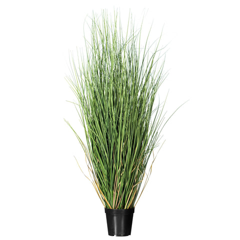 Vickerman Everyday 36" Artificial Potted Green Curled Grass - Lifelike Home Or Office Accent Decor - Premium Indoor Faux Potted Grass - Maintenance Free