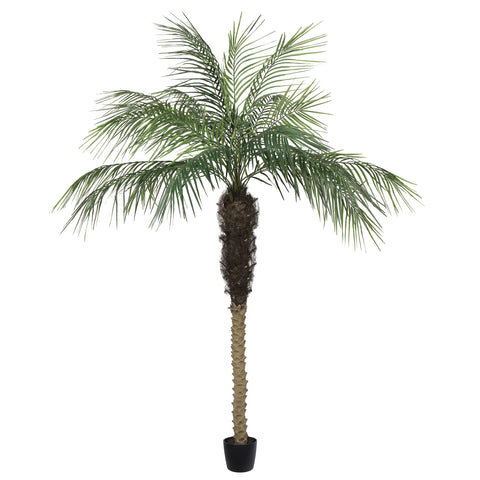 Vickerman Everyday Artificial Phoenix Palm Tree 7 Foot Tall for Indoor Use Home Office Christmas Holiday Tropical Decoration Design Your Tropical Oasis