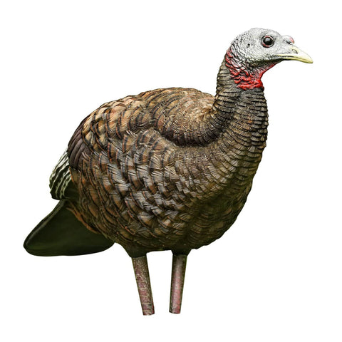 AVIAN-X LCD Breeder Hen Turkey Decoy | Durable Realistic Lifelike Collapsible Standing Hunting Decoy with Carry Bag & Stake, AVX8008