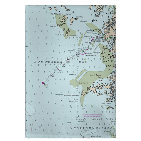 Betsy Drake GT11409CR 20 x 20 in. Crystal Bay to Homosassa Bay; MD Nautical Map Guest Towel
