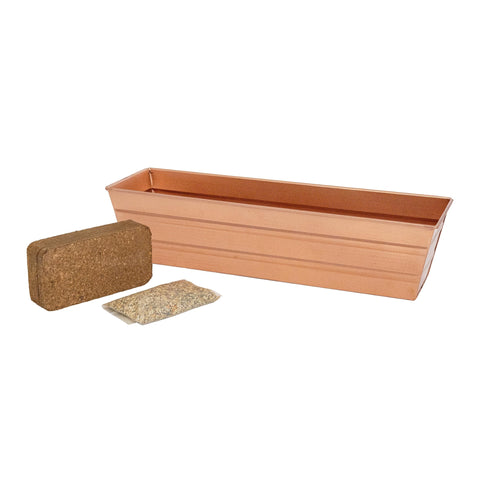 Bloom Box Garden Growing Kit Small Copper
