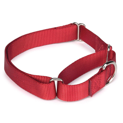Guardian Gear Nylon Martingale Dog Collar, Fits Necks 14" to 20", Red
