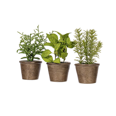 Vickerman Everyday 7" Artificial Green Potted Plant Assortment - Set of Three - Black Plastic Pots - Greenery for Home Or Office - Maintenance Free - Faux Plant Set