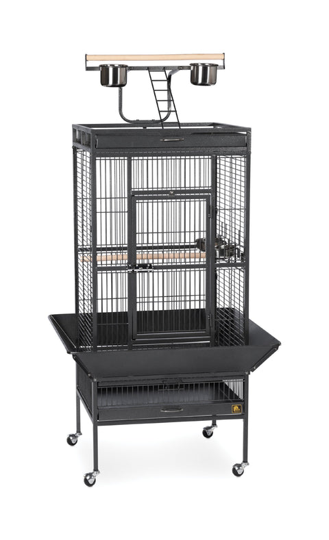 Prevue Hendryx 3152BLK Pet Products Wrought Iron Select Bird Cage, Black Hammertone,24'' x 20'' x 60''