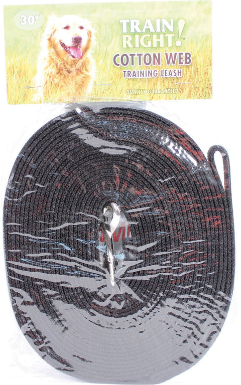 Coastal Pet Train Right Cotton Web Dog Training Leash - 100% Cotton - Durable Dog Walking Leash - for Puppies - Quality Training Supplies - Black, 5/8" x 30'