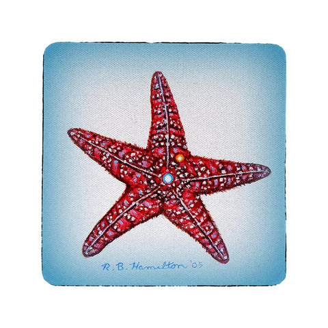 Betsydrake CT1169 Dicks Starfish Coaster - Set of 4