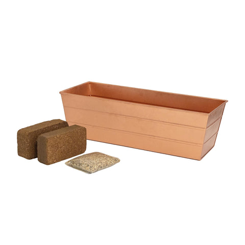 Bloom Box Garden Growing Kit Medium Copper