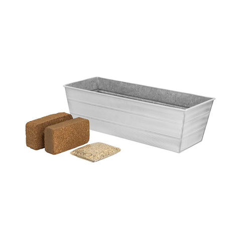 Bloom Box Garden Growing Kit Medium White