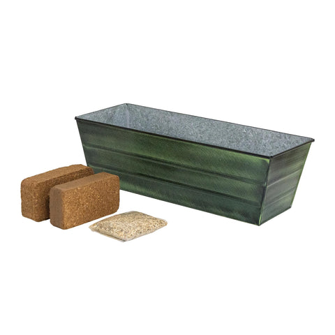 Bloom Box Garden Growing Kit Medium Green