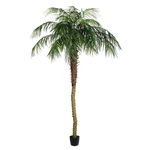 Vickerman Everyday Artificial Phoenix Palm Tree 8 Foot Tall for Indoor Use Home Office Christmas Holiday Tropical Decoration Design Your Tropical Oasis
