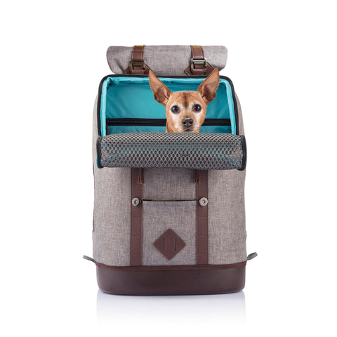 Kurgo Dog Carrier Backpack for Small Pets - Hands-Free Pet Travel Backpack - Armorsole Base - Convertible Backpack to Carrier - Rugged Pet Backpack - Heather Grey