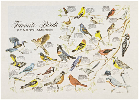 Hoffmaster 702025 Dollar Wise Recycled Paper Fashion Placemat, 14" Length x 10" Width, Favorite Birds (Case of 1000)