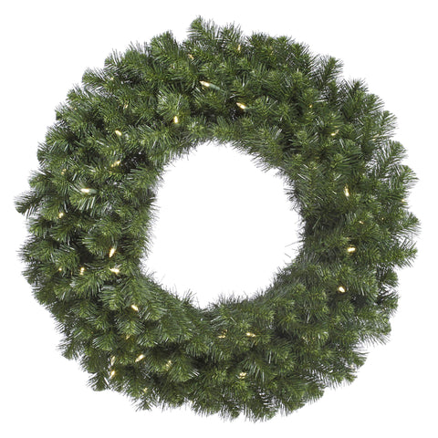 Vickerman Pre-lit 20"" Douglas Fir Wreath with 50 Warm White LED Lights (A808820LED)