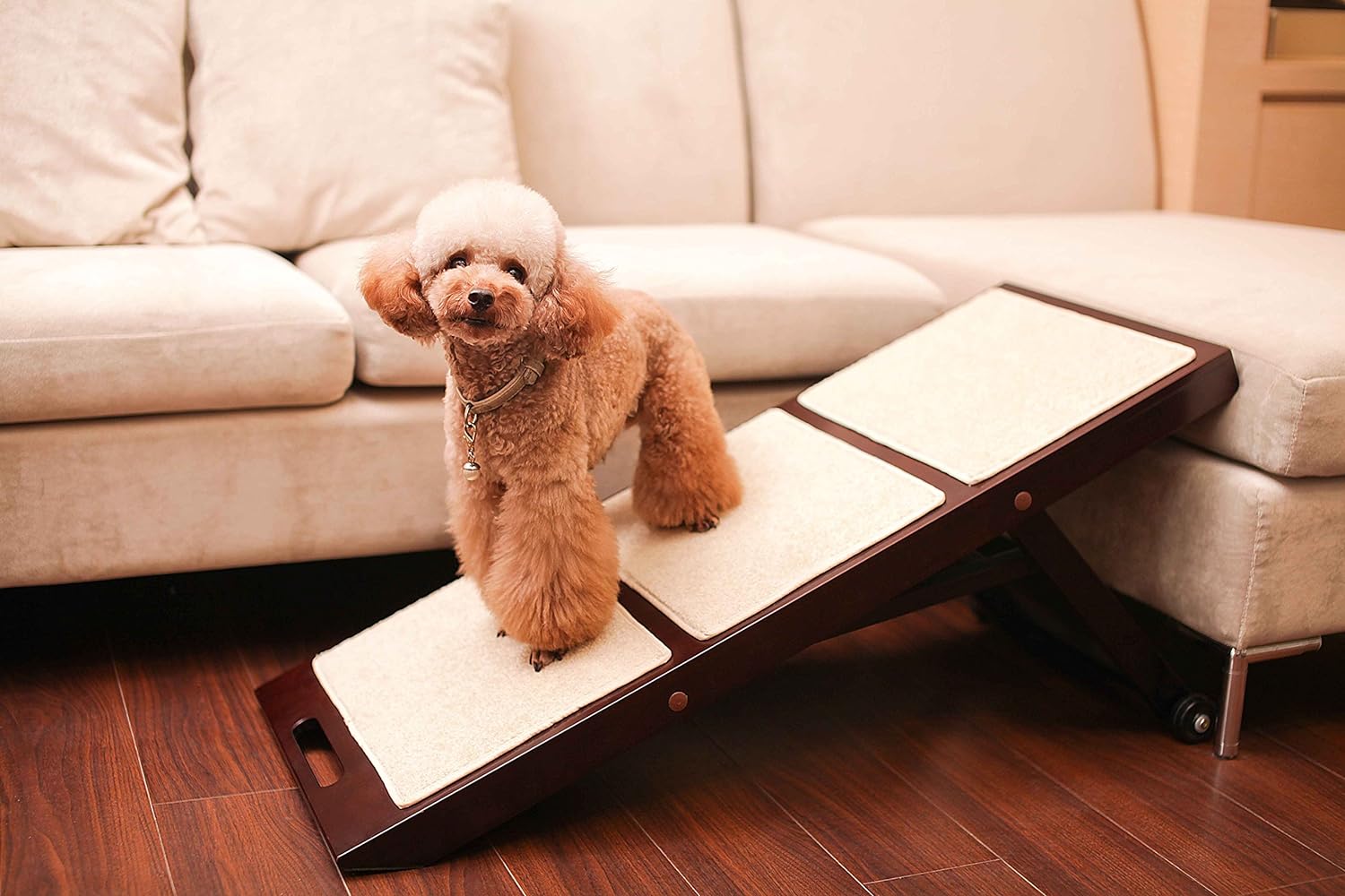 Collapsible Dog & Cat Ramp