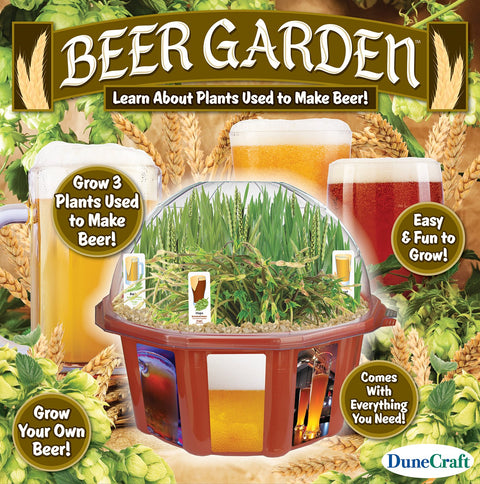 Dunecraft Beer Garden Domed Terrarium