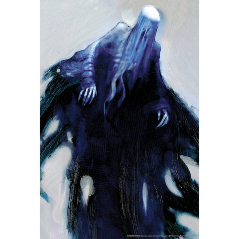 Rubie's Harry Potter Printed Plastic Decorative Window Cover, Dementors, 36" x 24"