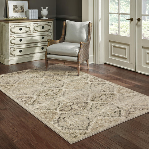 Oriental Weavers Florence Area Rug - 270H6-9'10" x 12'10" - in Ivory/Grey - Vintage Inspired, Stain Resistant, Family and Pet Friendly, Family, Dining, Living Room Rug