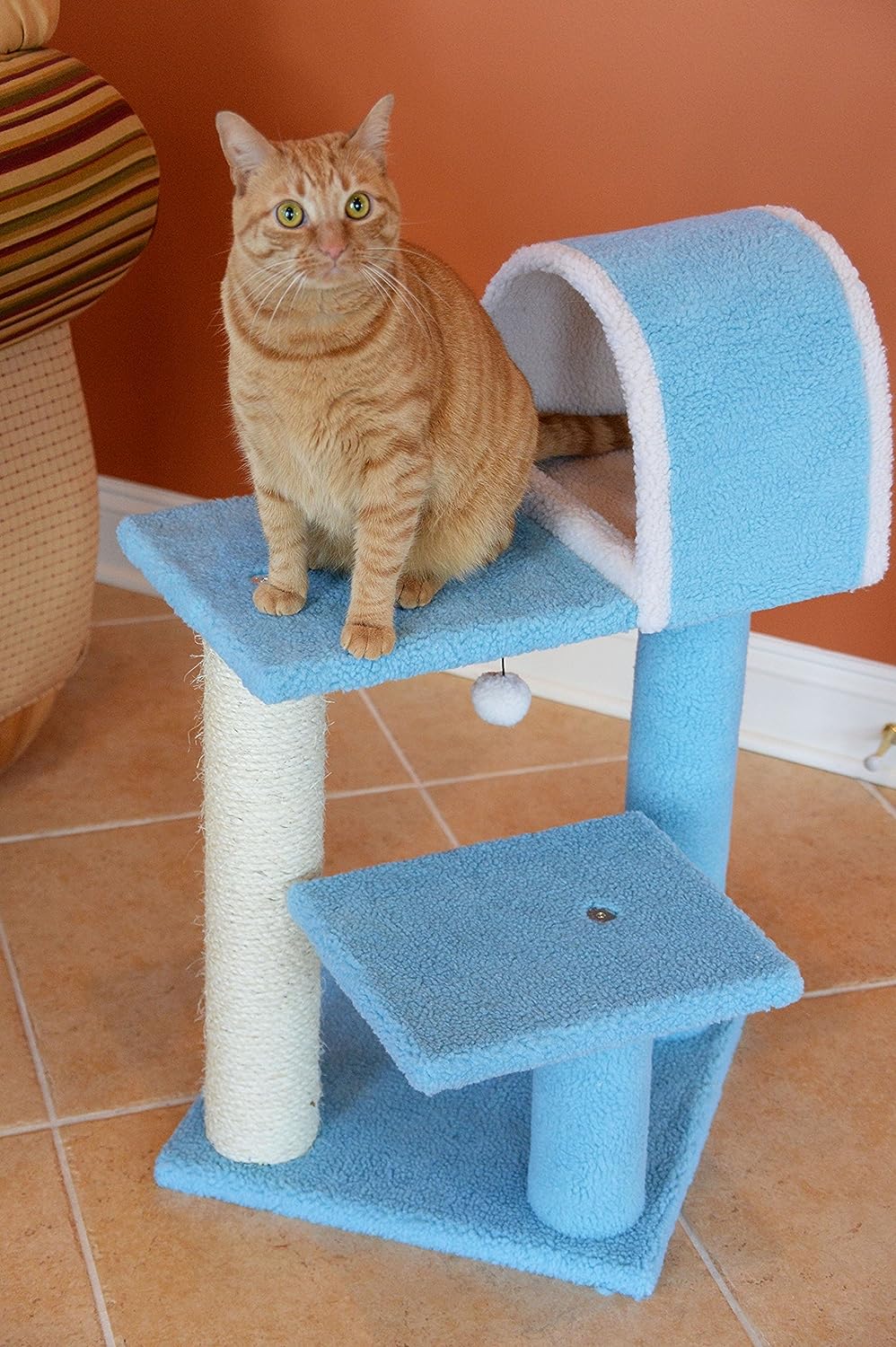 Armarkat Cat Tree Model B2903, Sky Blue