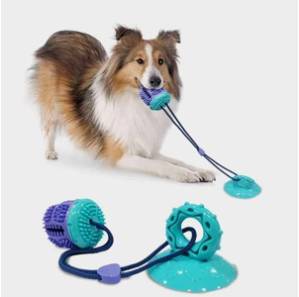 Dog Toy