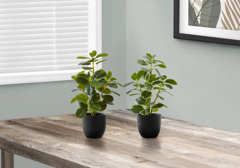 Artificial Plant, 14 Tall, Ficus, Indoor, Faux, Fake, Table, Greenery, Potted, Set Of 2, Decorative, Green Leaves, Black Pots