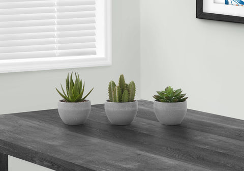 Artificial Plant, 6 Tall, Succulent, Indoor, Faux, Fake, Table, Greenery, Potted, Set Of 3, Decorative, Green Plants, Grey Cement Pots