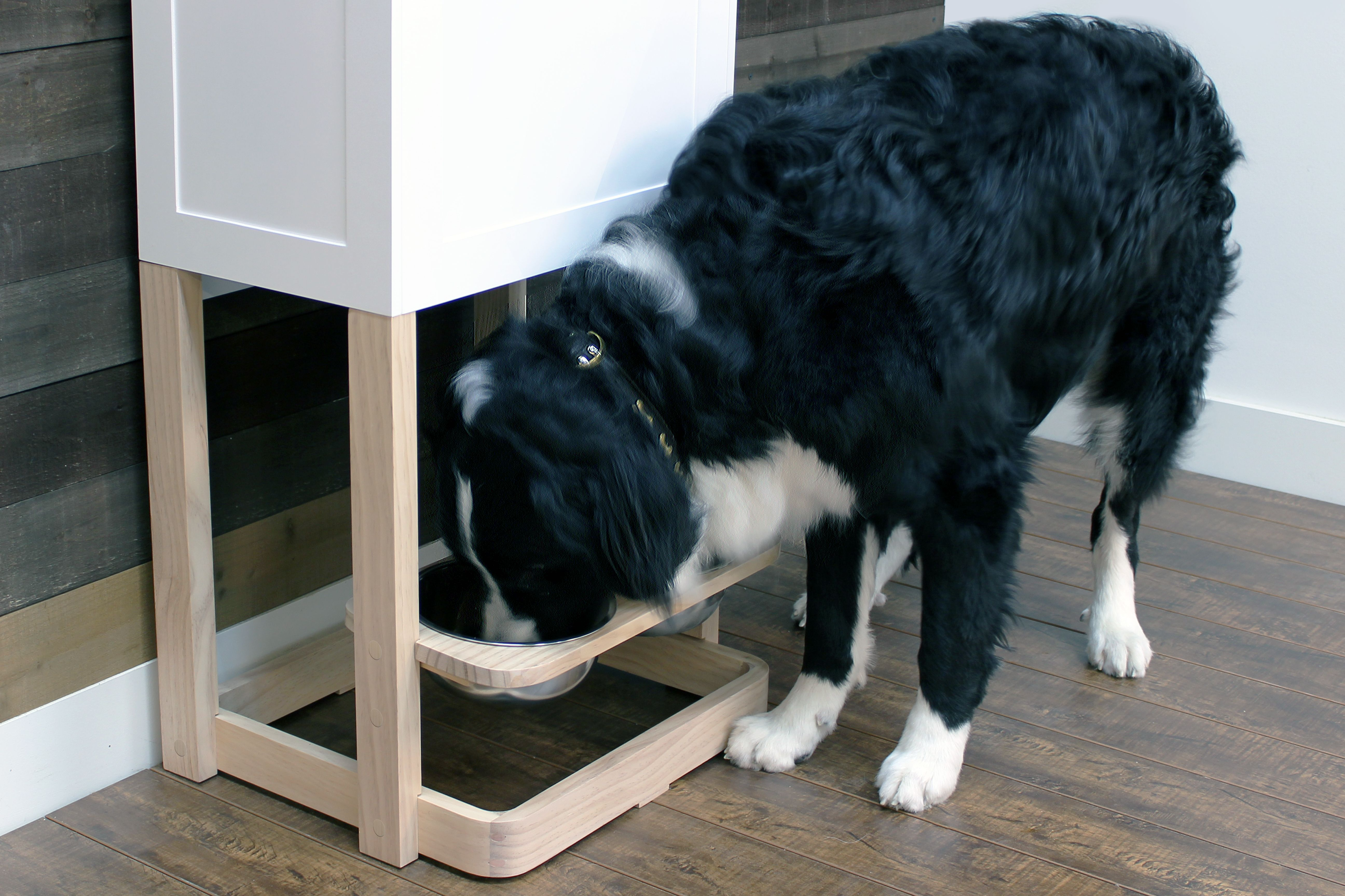 Parlor Pet Feeder Station in White