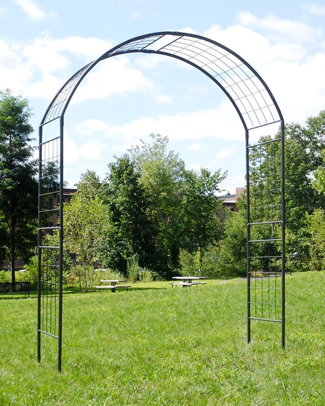 Monet II Arbor