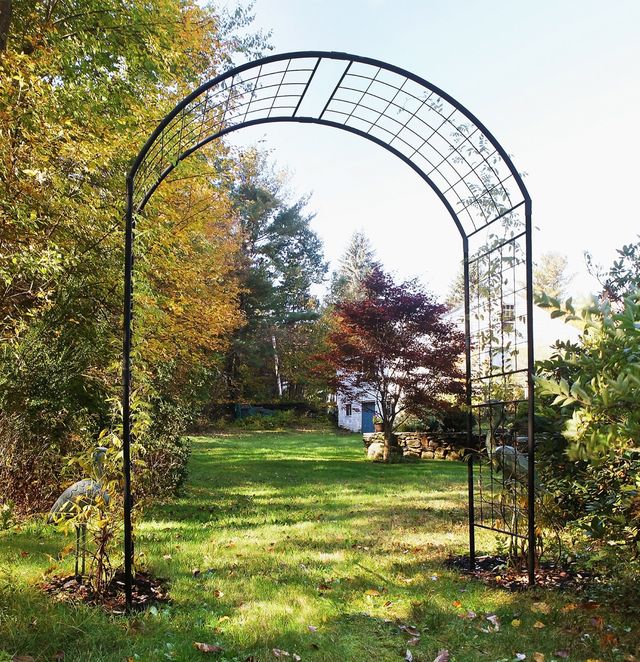 Monet II Arbor